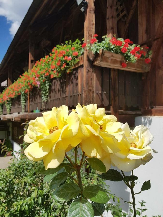 Muellerhof Villa Anterselva di Mezzo Luaran gambar
